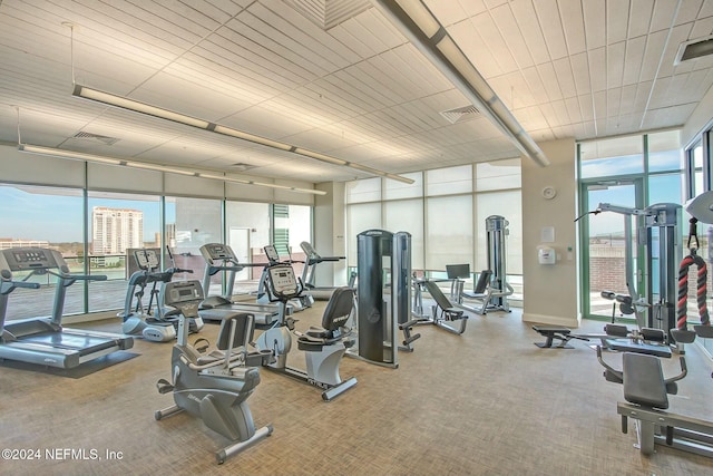 exercise room with a wall of windows and carpet flooring