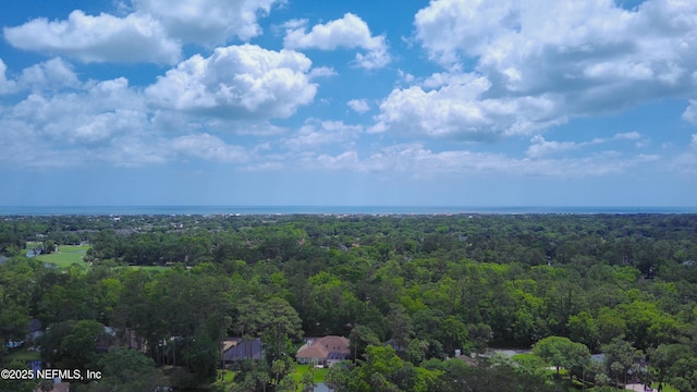 bird's eye view of a forest