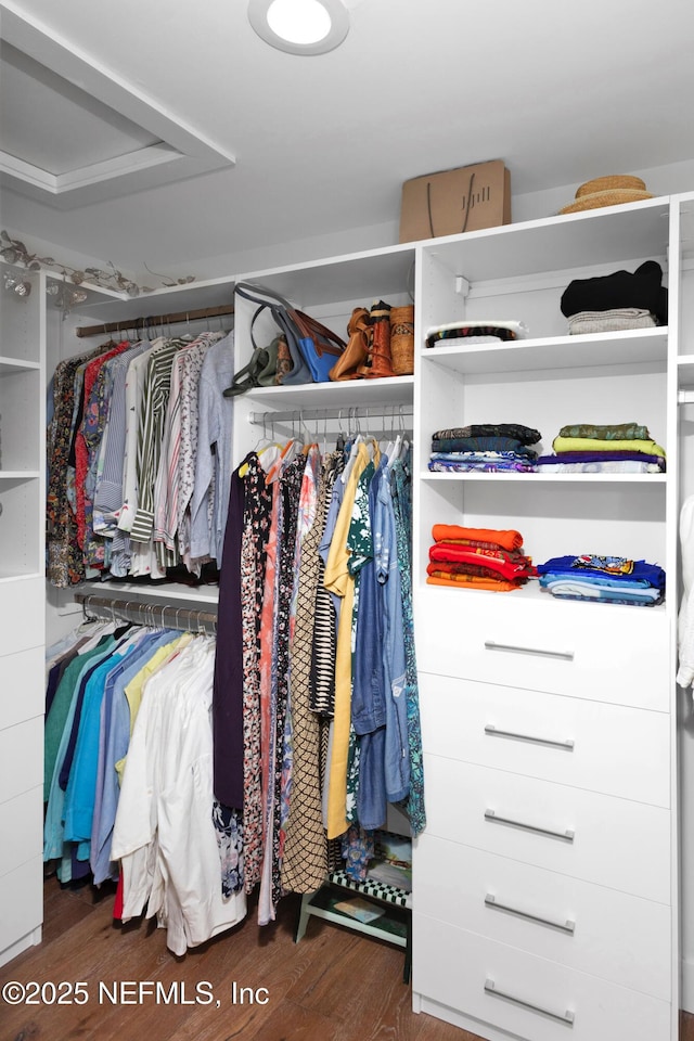 walk in closet featuring wood finished floors