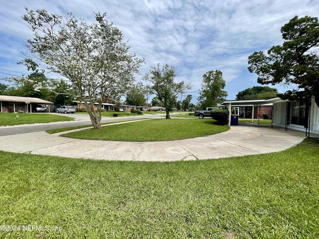 11333 Americana Ln, Jacksonville, FL 32218 - photo 3