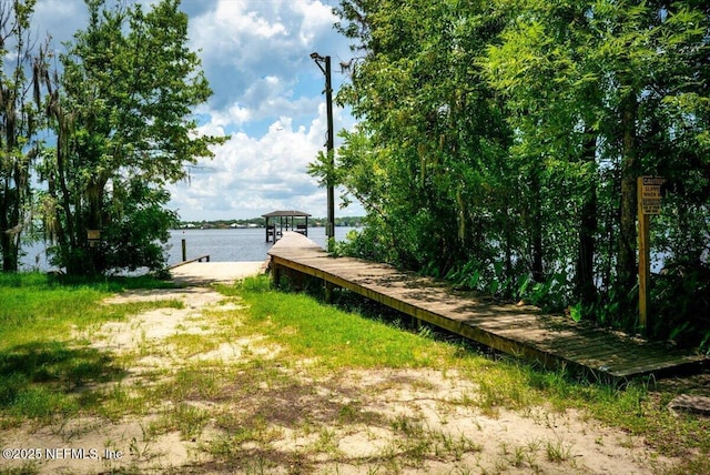 2438 Sylvan Chase Dr, Orange Park, FL 32073 - photo 47