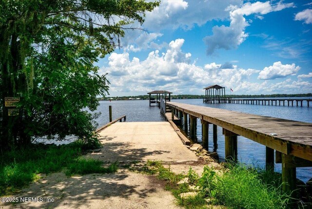 2438 Sylvan Chase Dr, Orange Park, FL 32073 - photo 49
