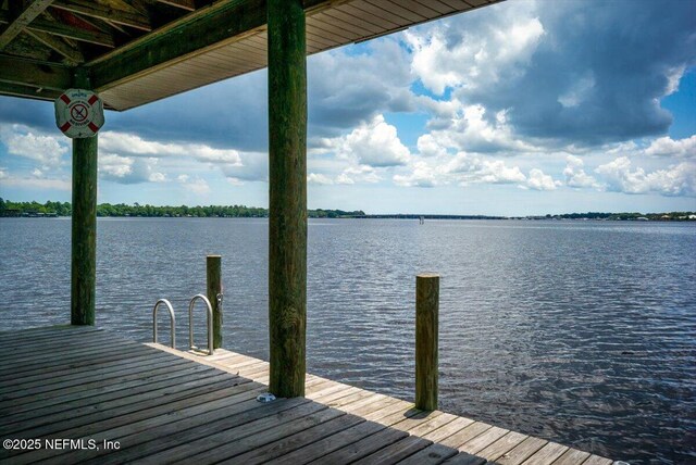 2438 Sylvan Chase Dr, Orange Park, FL 32073 - photo 53