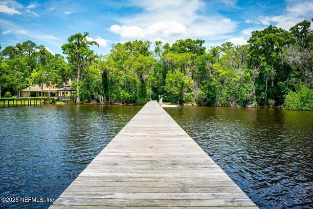 2438 Sylvan Chase Dr, Orange Park, FL 32073 - photo 56