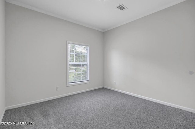 3889 Hollywood St, Middleburg, FL 32068 - photo 20