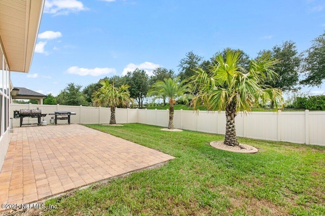 view of yard with a patio