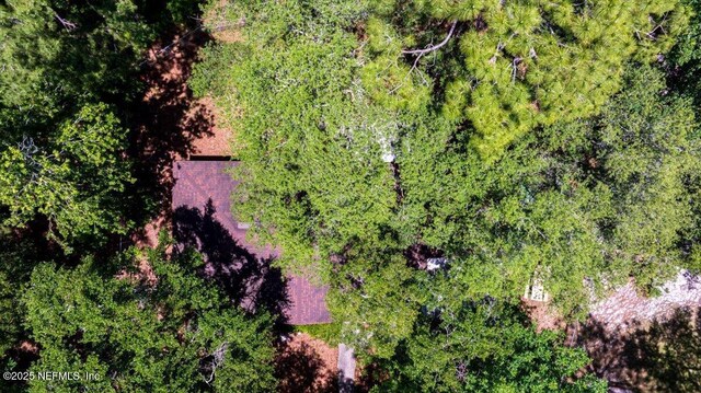 613 Arthur Moore Dr, Green Cove Springs, FL 32043 - photo 30