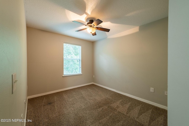8265 Halls Hammock Ct, Jacksonville, FL 32244 - photo 20