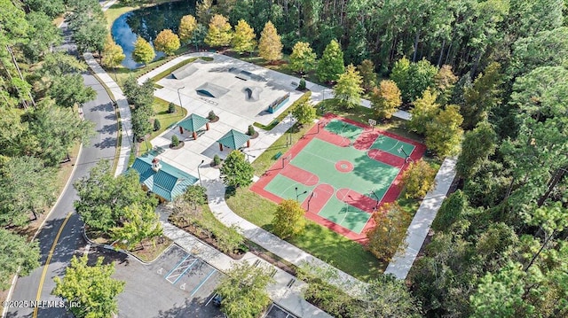 bird's eye view