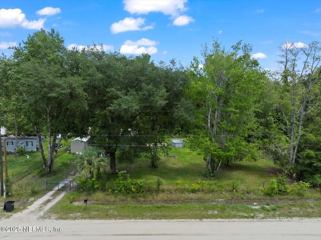 204 Amberjack St, Satsuma, FL 32189 - photo 1