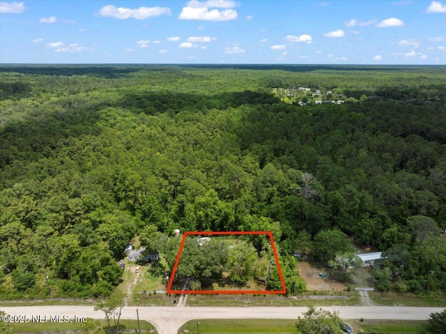 204 Amberjack St, Satsuma, FL 32189 - photo 2