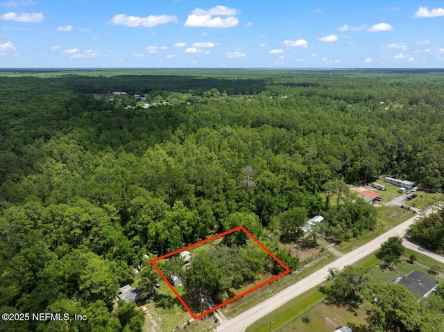 204 Amberjack St, Satsuma, FL 32189 - photo 3