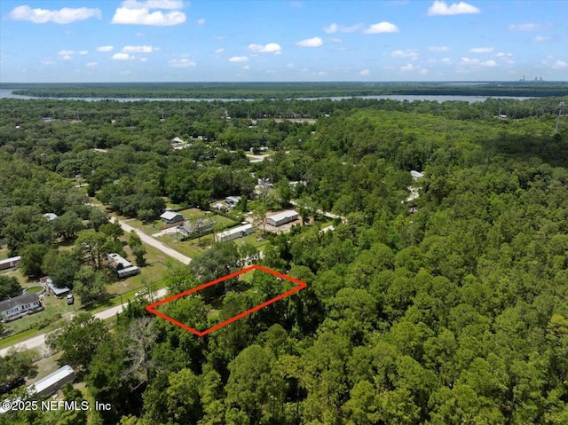 204 Amberjack St, Satsuma, FL 32189 - photo 4