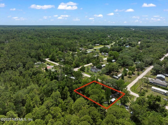 204 Amberjack St, Satsuma, FL 32189 - photo 5