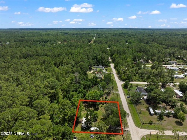 204 Amberjack St, Satsuma, FL 32189 - photo 6