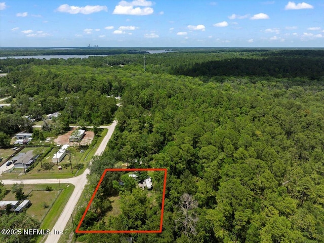 204 Amberjack St, Satsuma, FL 32189 - photo 7