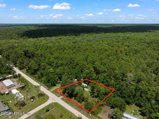 204 Amberjack St, Satsuma, FL 32189 - photo 9