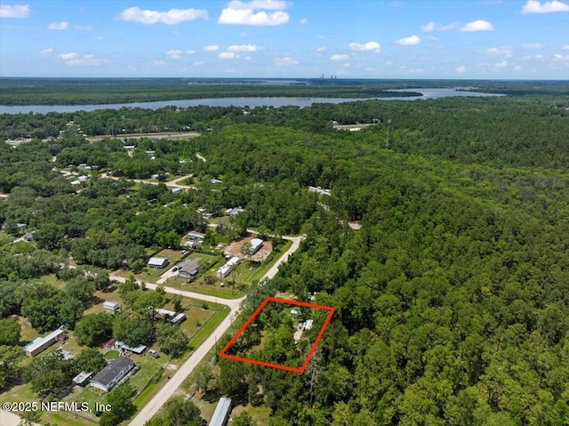 204 Amberjack St, Satsuma, FL 32189 - photo 10