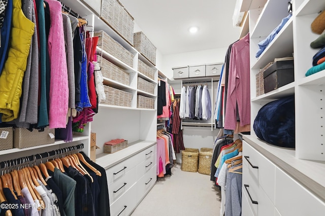spacious closet featuring carpet