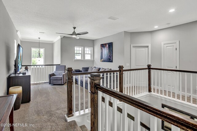 252 Pine Haven Dr, Saint Johns, FL 32259 - hallway featuring an upstairs landing, carpet floors, recessed lighting, a textured ceiling, and crown molding
