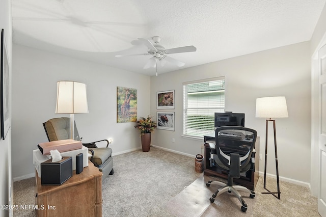 12876 Biggin Church Rd S, Jacksonville, FL 32224 - photo 20
