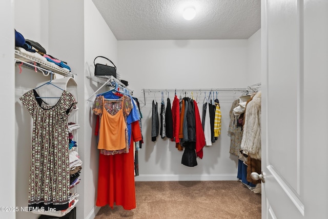 walk in closet featuring carpet
