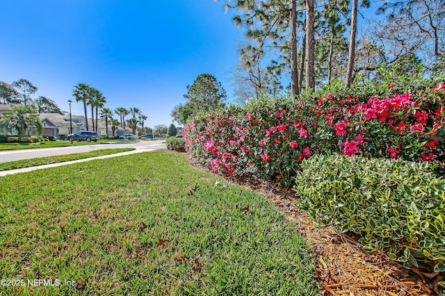 8657 Little Swift Cir Unit 27D, Jacksonville, FL 32256 - photo 85