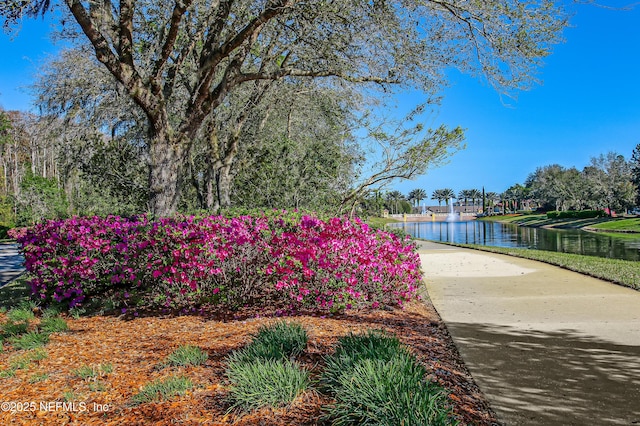 8657 Little Swift Cir Unit 27D, Jacksonville, FL 32256 - photo 86