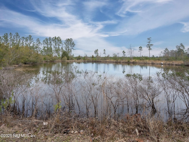27189 Betina Dr, Hilliard, FL 32046 - photo 38