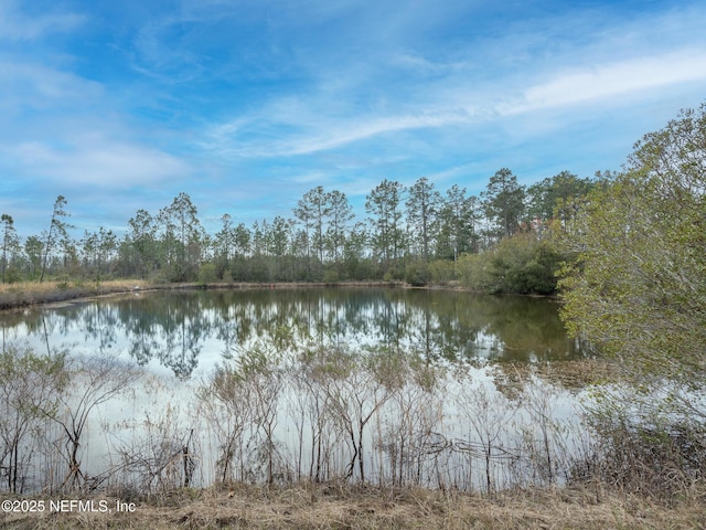 27189 Betina Dr, Hilliard, FL 32046 - photo 41