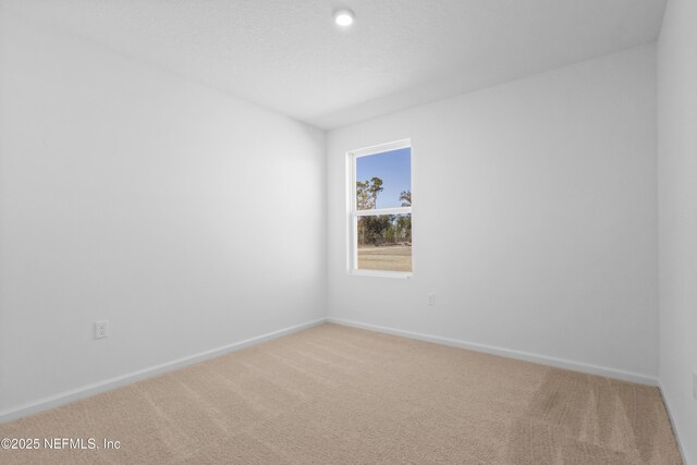 4635 Melanie St, Hastings, FL 32145 - unfurnished room featuring light carpet and baseboards