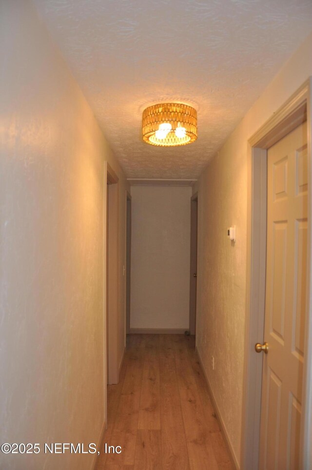 1002 N Thompson St, Starke, FL 32091 - photo 15