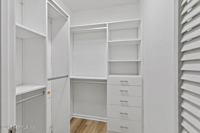 spacious closet with wood finished floors