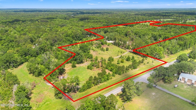2995 Thunder Rd, Middleburg, FL 32068 - aerial view of property and surrounding area with a heavily wooded area and property parcel outlined