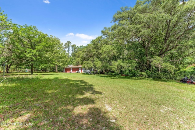 2995 Thunder Rd, Middleburg, FL 32068 - view of grassy yard with a wooded view