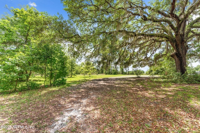 2995 Thunder Rd, Middleburg, FL 32068 - view of yard