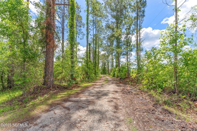 2995 Thunder Rd, Middleburg, FL 32068 - view of dirt / gravel road