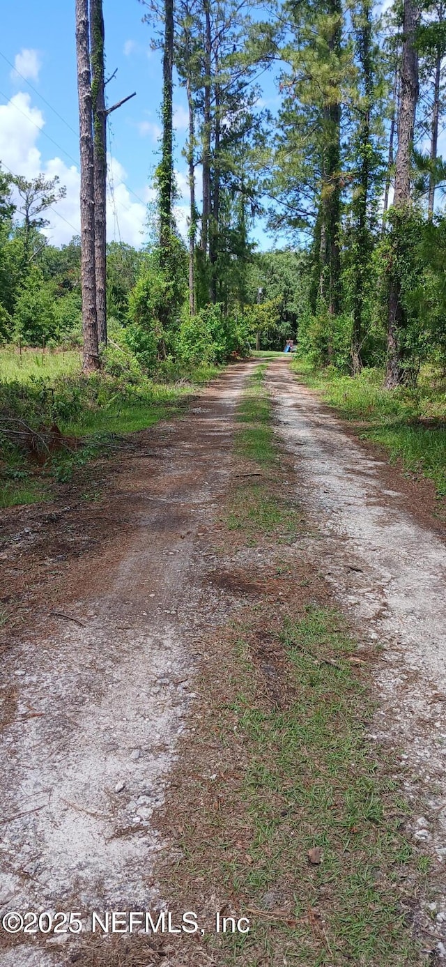2995 Thunder Rd, Middleburg, FL 32068 - view of dirt / gravel road