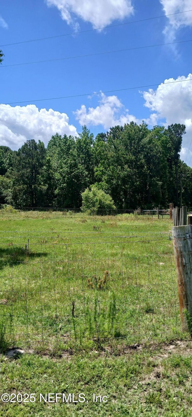 2995 Thunder Rd, Middleburg, FL 32068 - view of yard featuring a view of countryside