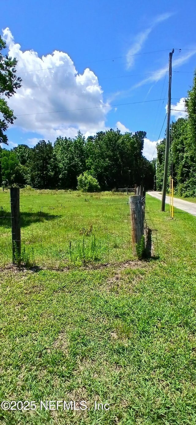 2995 Thunder Rd, Middleburg, FL 32068 - view of green lawn