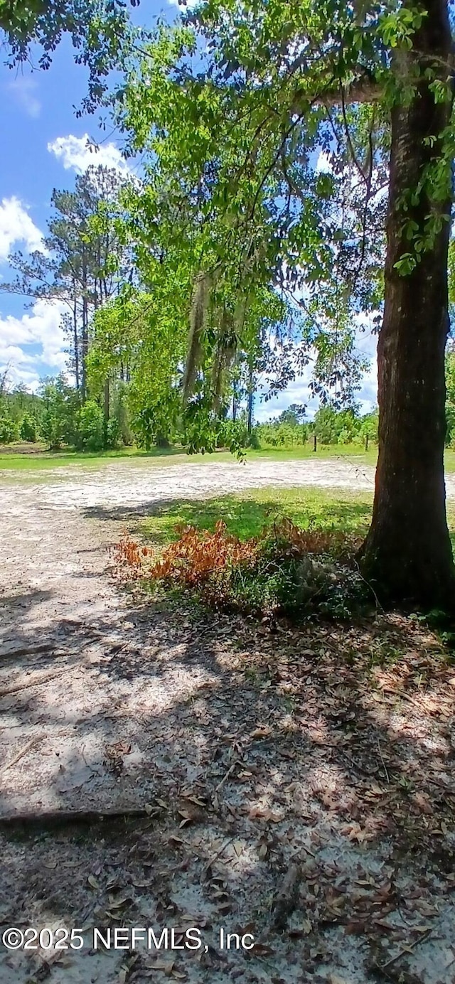2995 Thunder Rd, Middleburg, FL 32068 - view of street