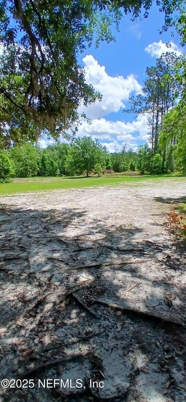 2995 Thunder Rd, Middleburg, FL 32068 - view of street