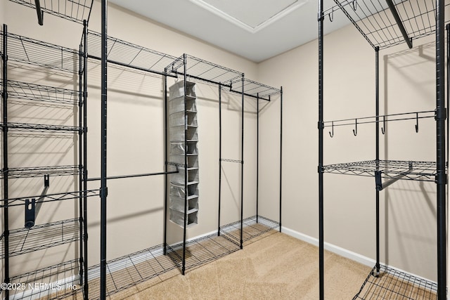 spacious closet with carpet flooring