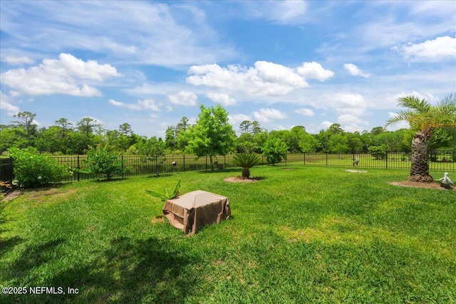 4101 Spring Creek Ln, Middleburg, FL 32068 - view of yard featuring view of wooded area
