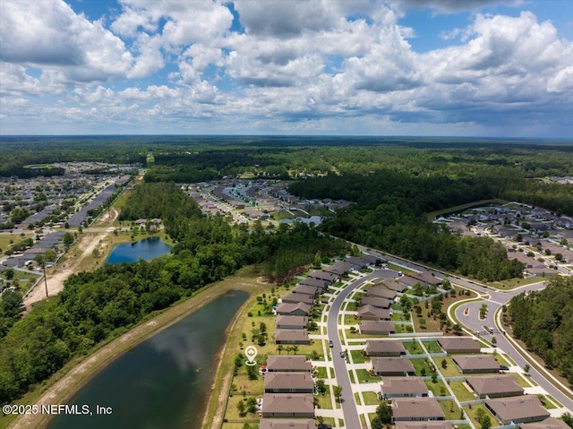 4101 Spring Creek Ln, Middleburg, FL 32068 - aerial view of residential area featuring a nearby body of water and a heavily wooded area