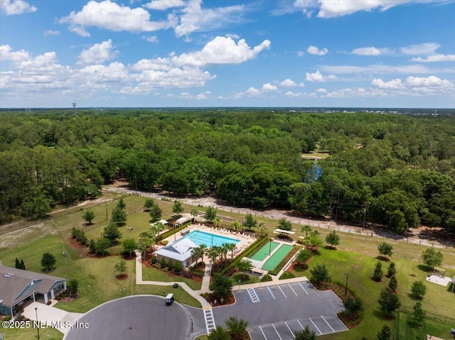 4101 Spring Creek Ln, Middleburg, FL 32068 - bird's eye view of a forest and a pool