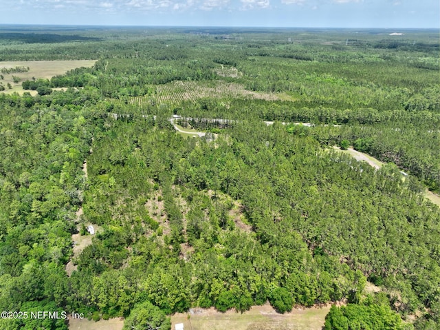 4343 W Highway100, Bunnell, FL 32110 - photo 12