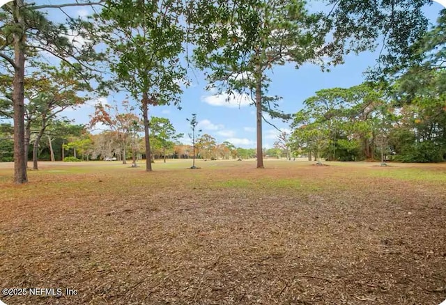 11523 Dunes Way Dr N, Jacksonville, FL 32225 - view of grassy yard