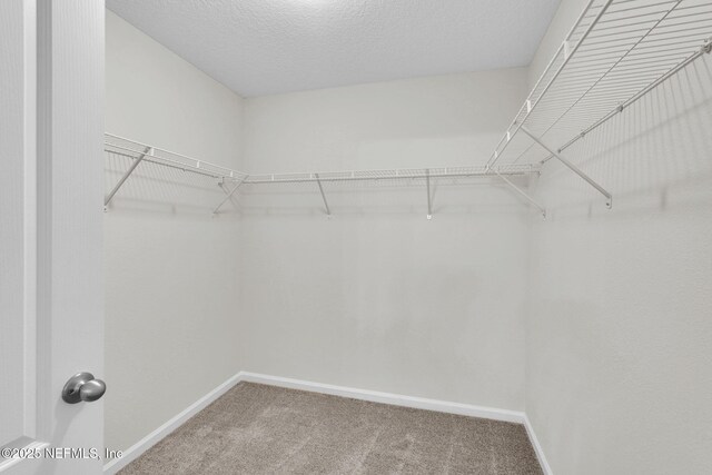 1983 Pebble Point Dr, Green Cove Springs, FL 32043 - photo 24