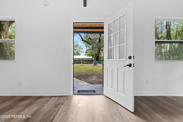 foyer with wood finished floors, plenty of natural light, and baseboards